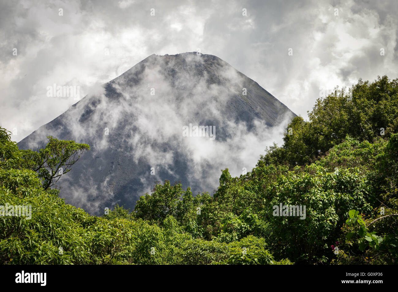 Il picco di perfetta dell'attivo e giovane vulcano Izalco visto da un punto di vista di Cerro Verde National Park in El Salvador, Foto Stock