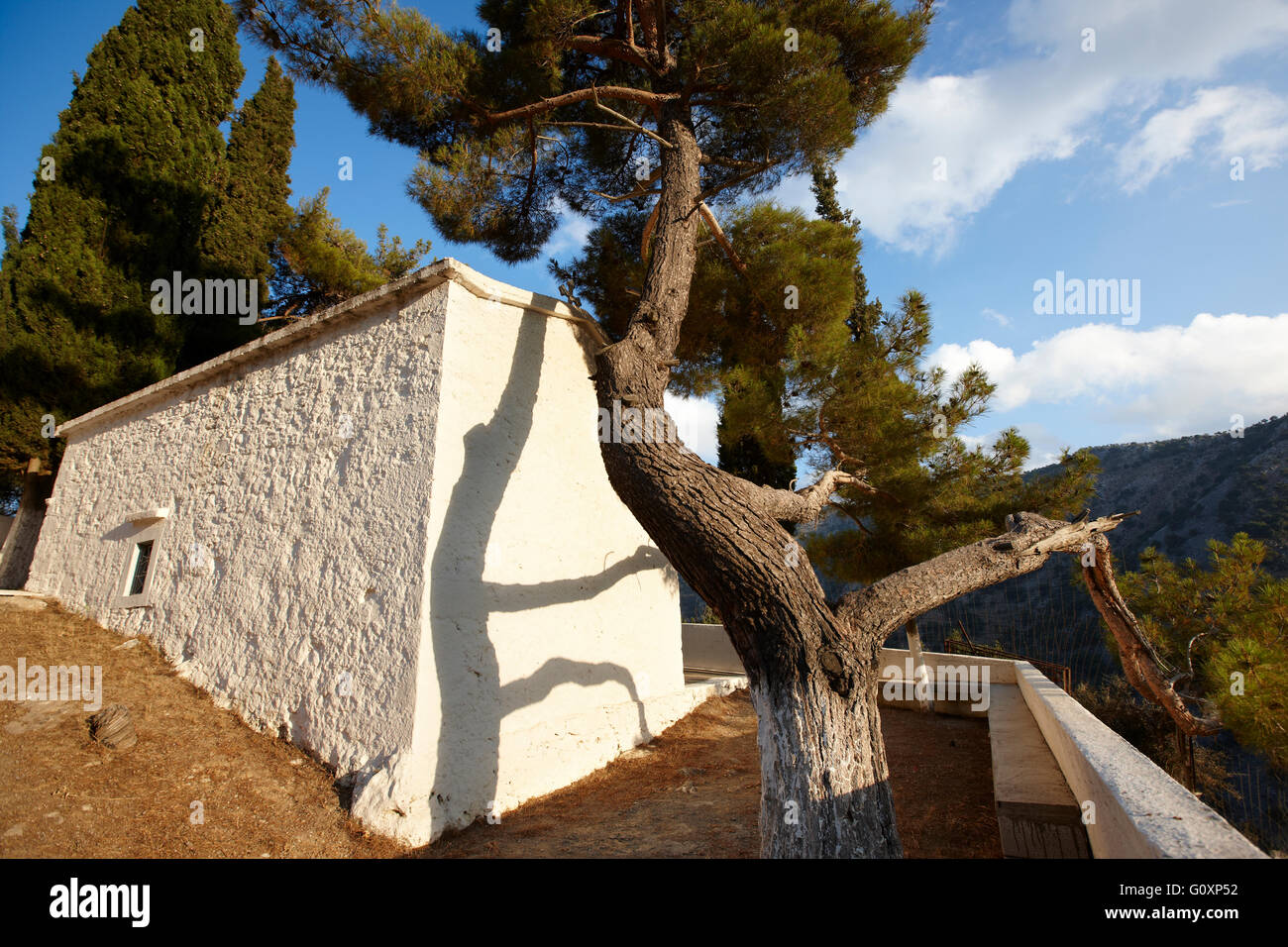 Tradizionale chiesa greca con pino. Creta. La Grecia. Posizione orizzontale Foto Stock