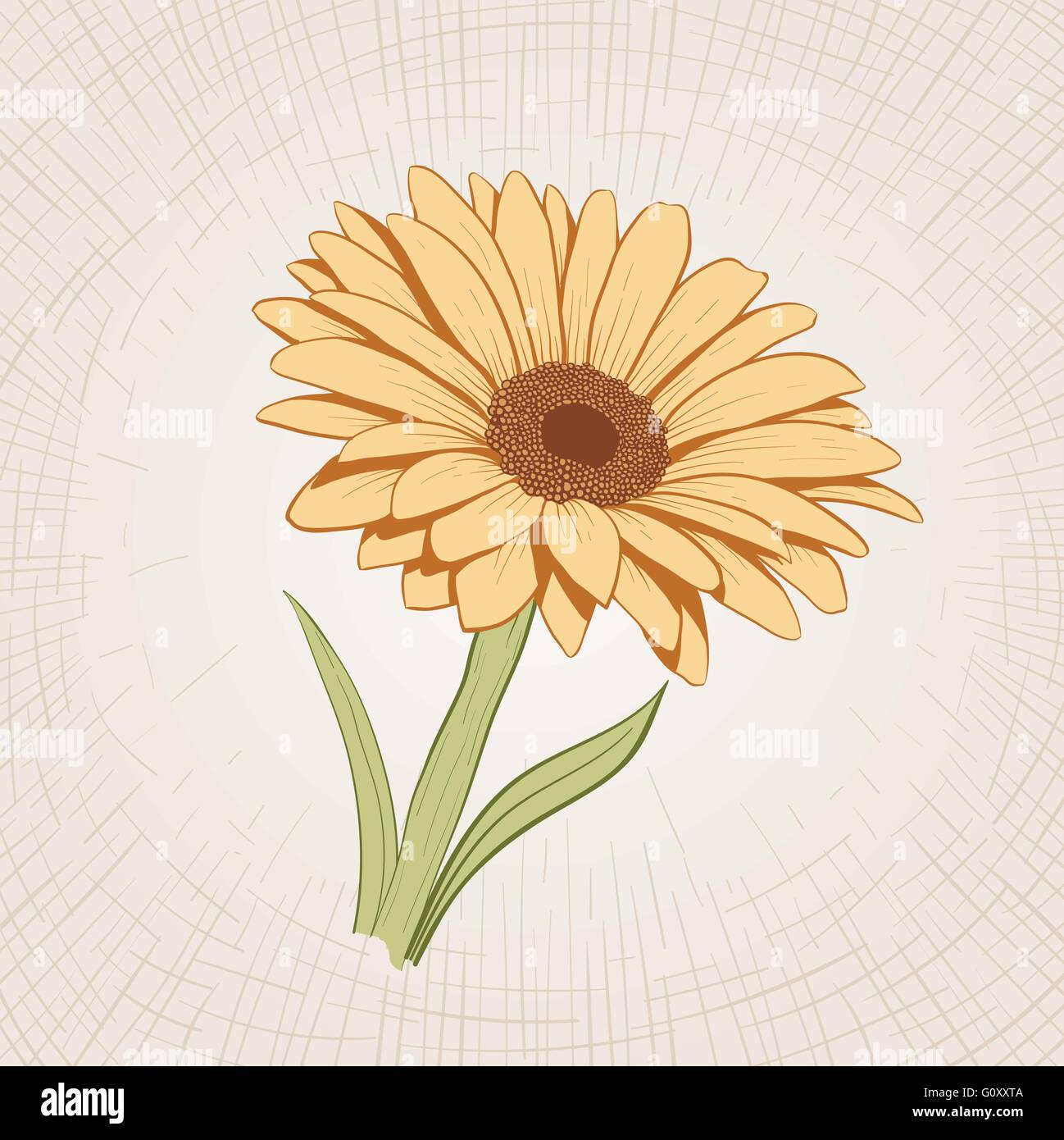 Vettore disegnati a mano fiore giallo. Global colori CMYK. Illustrazione Vettoriale