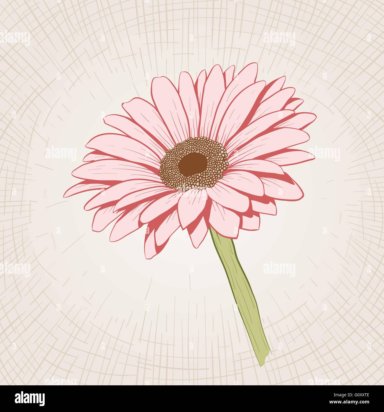 Vettore disegnati a mano fiore rosa. Global colori CMYK. Illustrazione Vettoriale