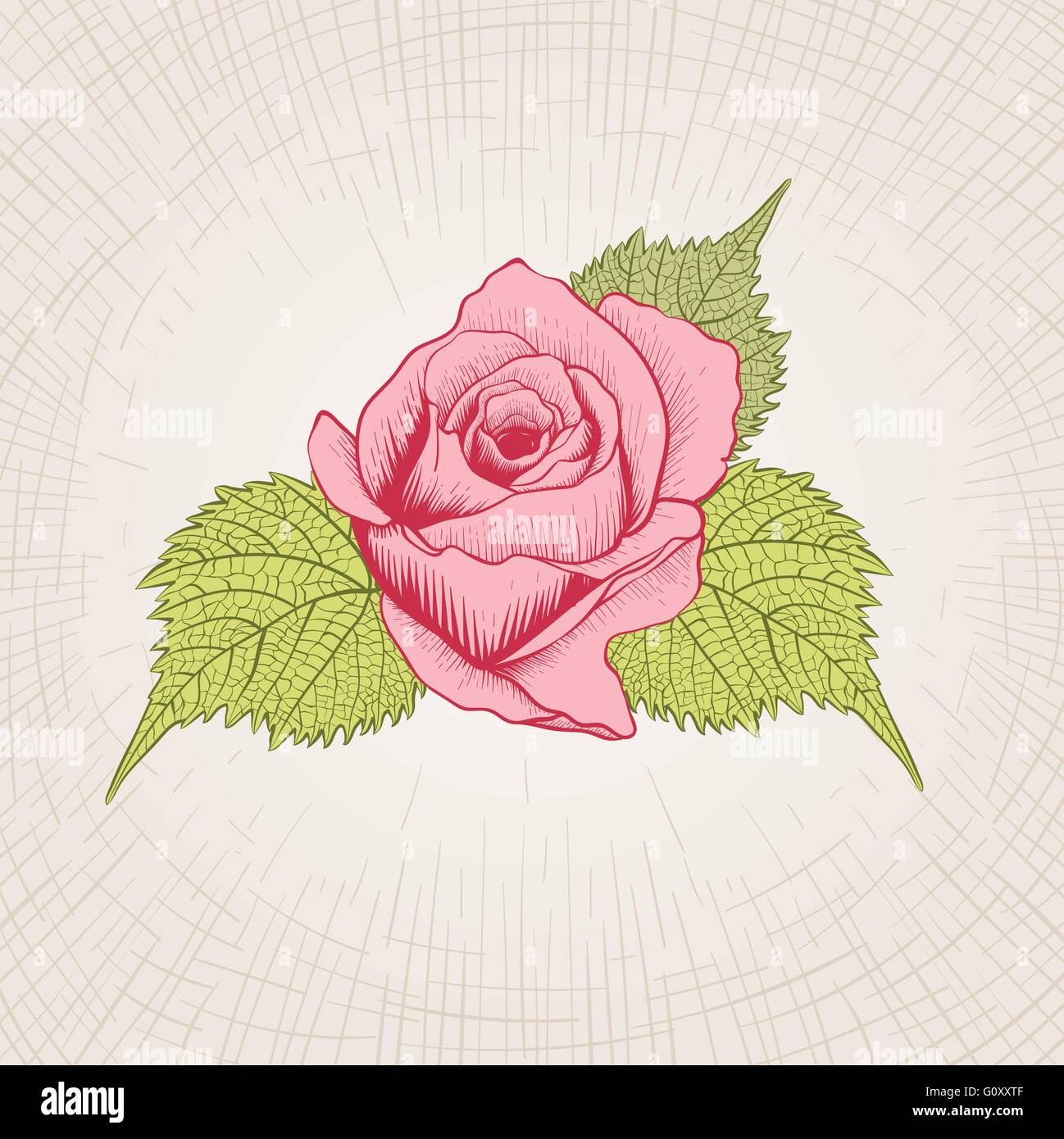 Vettore disegnati a mano rose fiore. Global colori CMYK. Illustrazione Vettoriale