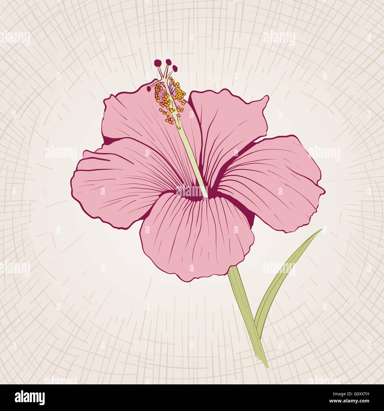 Vector disegnati a mano di fiori di ibisco. Global colori CMYK. Illustrazione Vettoriale