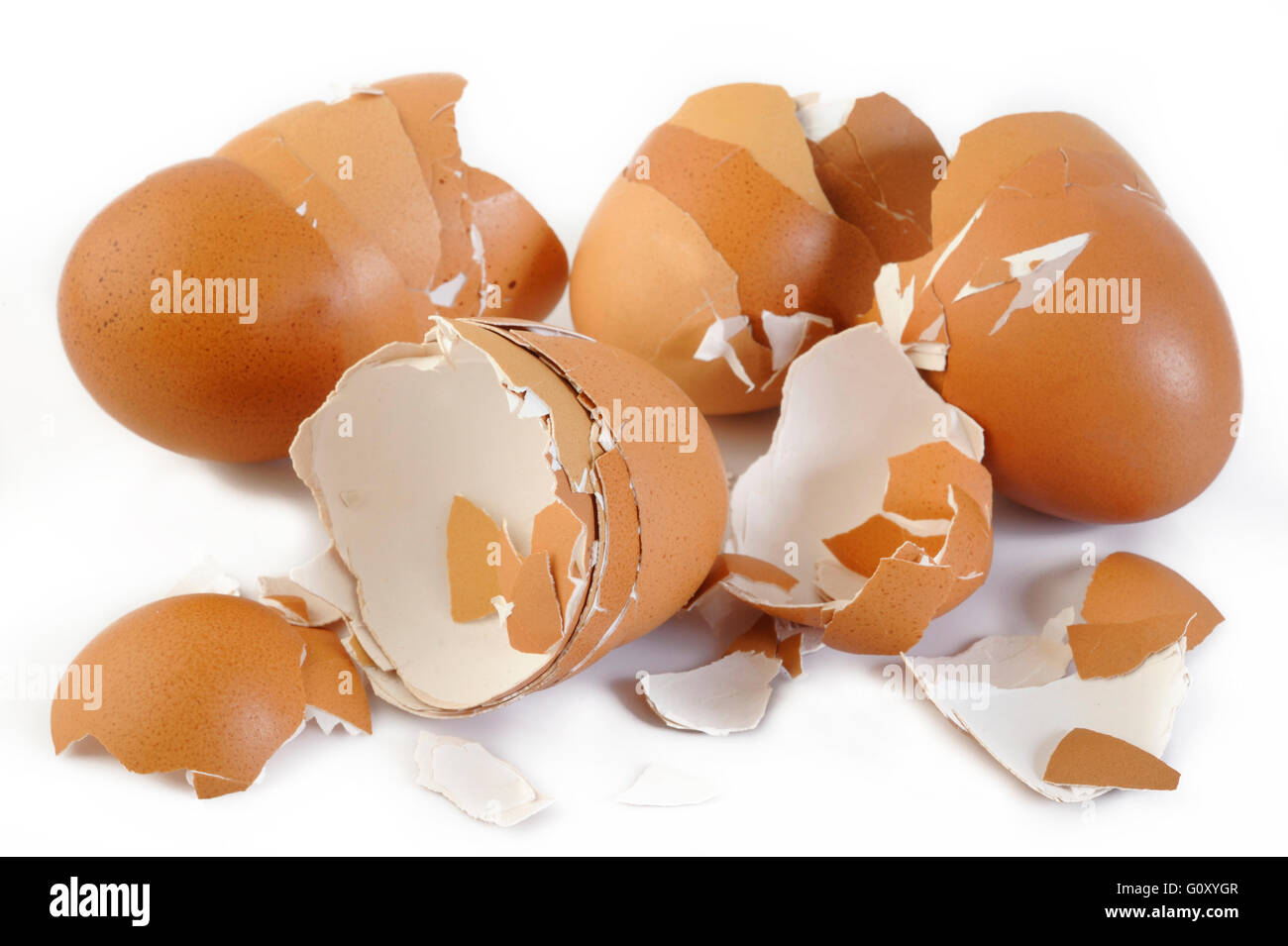 guscio d'uovo Foto Stock