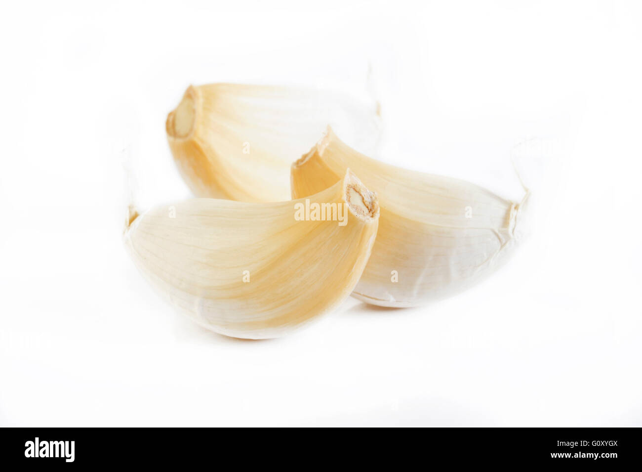 Spicchi di aglio su sfondo bianco Foto Stock