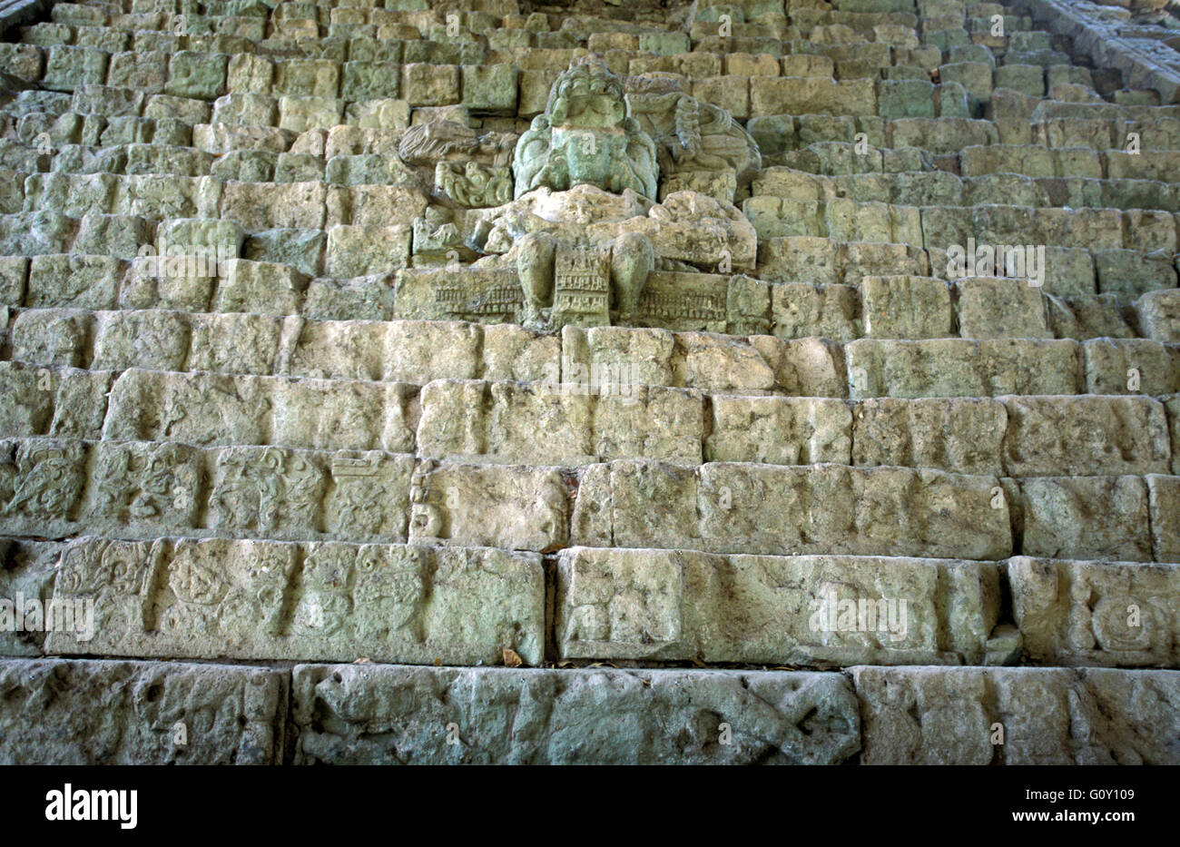 La scala geroglifica, Copan rovine, un sito archeologico della civiltà Maya nel dipartimento di Copan, Honduras Foto Stock