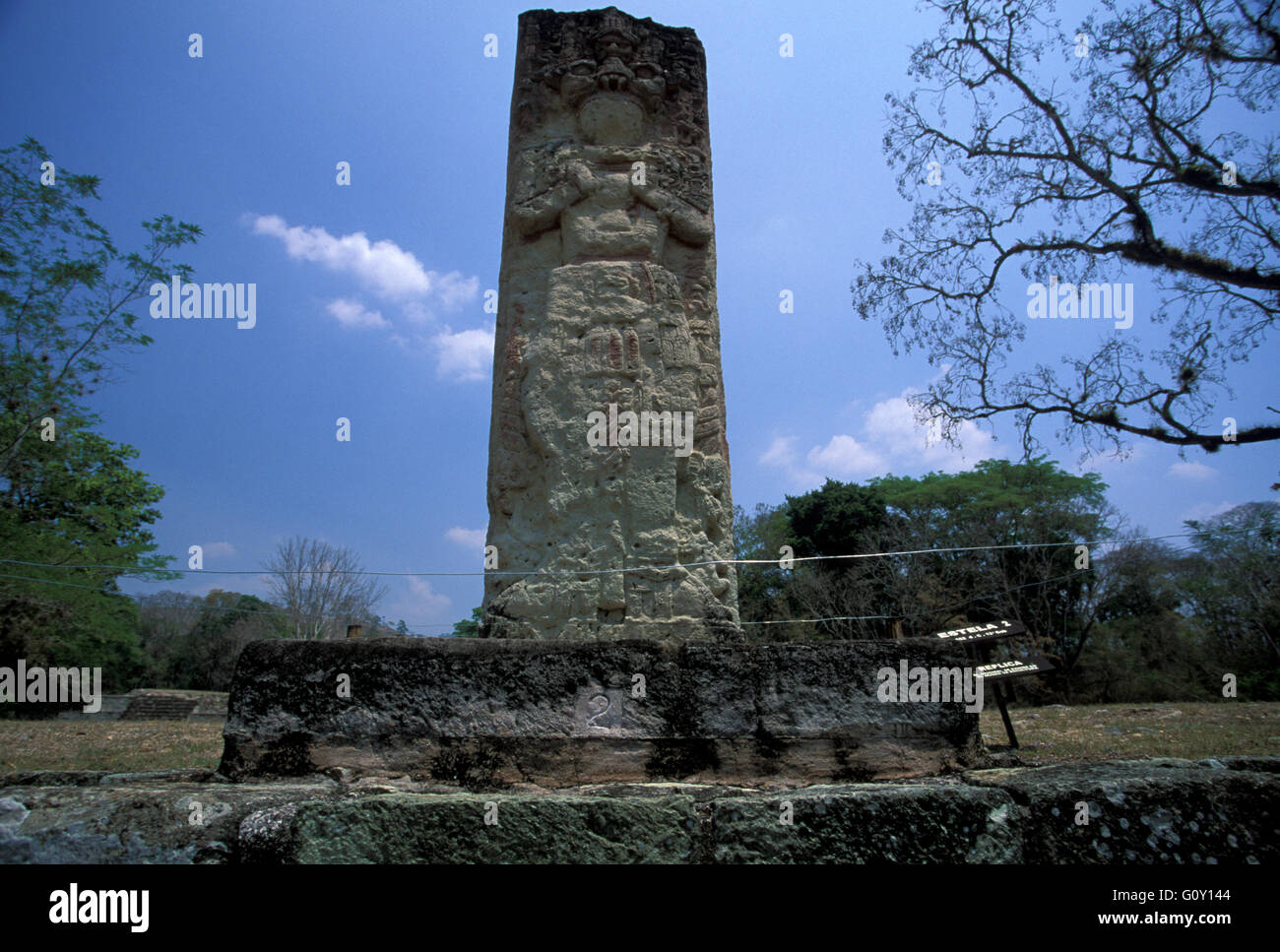 Stela 2, Copan rovine, un sito archeologico della civiltà Maya nel dipartimento di Copan, Honduras Foto Stock