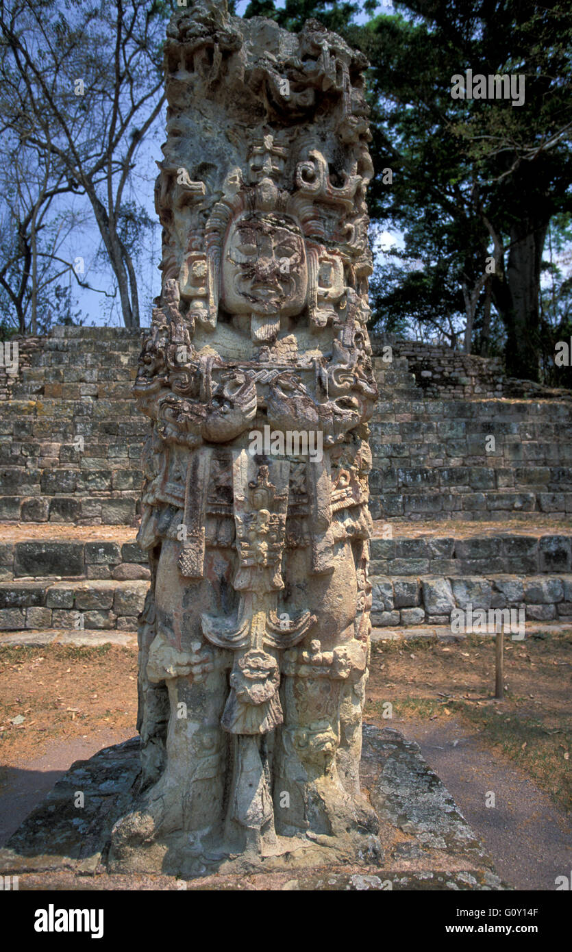 Stela D, Copan rovine, un sito archeologico della civiltà Maya nel dipartimento di Copan, Honduras Foto Stock