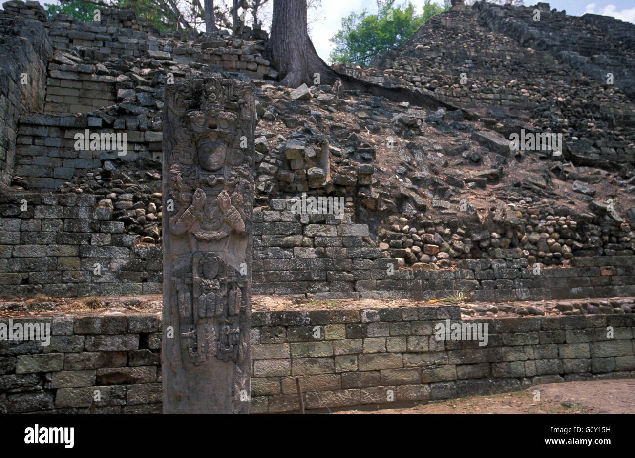 Copan rovine, un sito archeologico della civiltà Maya nel dipartimento di Copan, Honduras Foto Stock