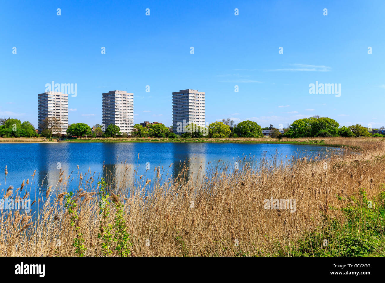 Woodberry zone umide riserva naturale a Woodberry Down a Londra in una giornata di sole Foto Stock