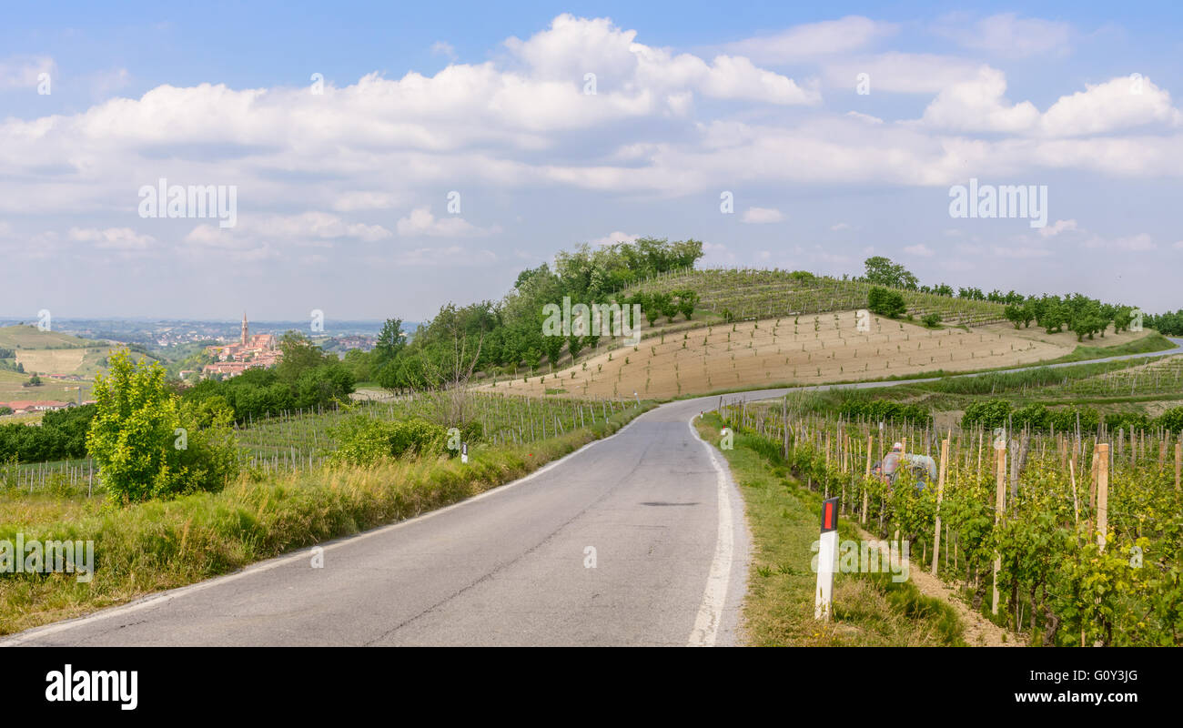Stretta strada rurale lungo la collina con vigneti verde sotto il cielo blu in Piemonte, Italia settentrionale. Foto Stock