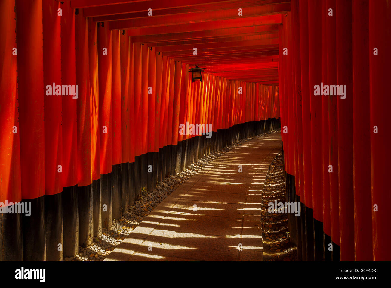 Il Fushimi Inari torii archi a Kyoto, Giappone Foto Stock