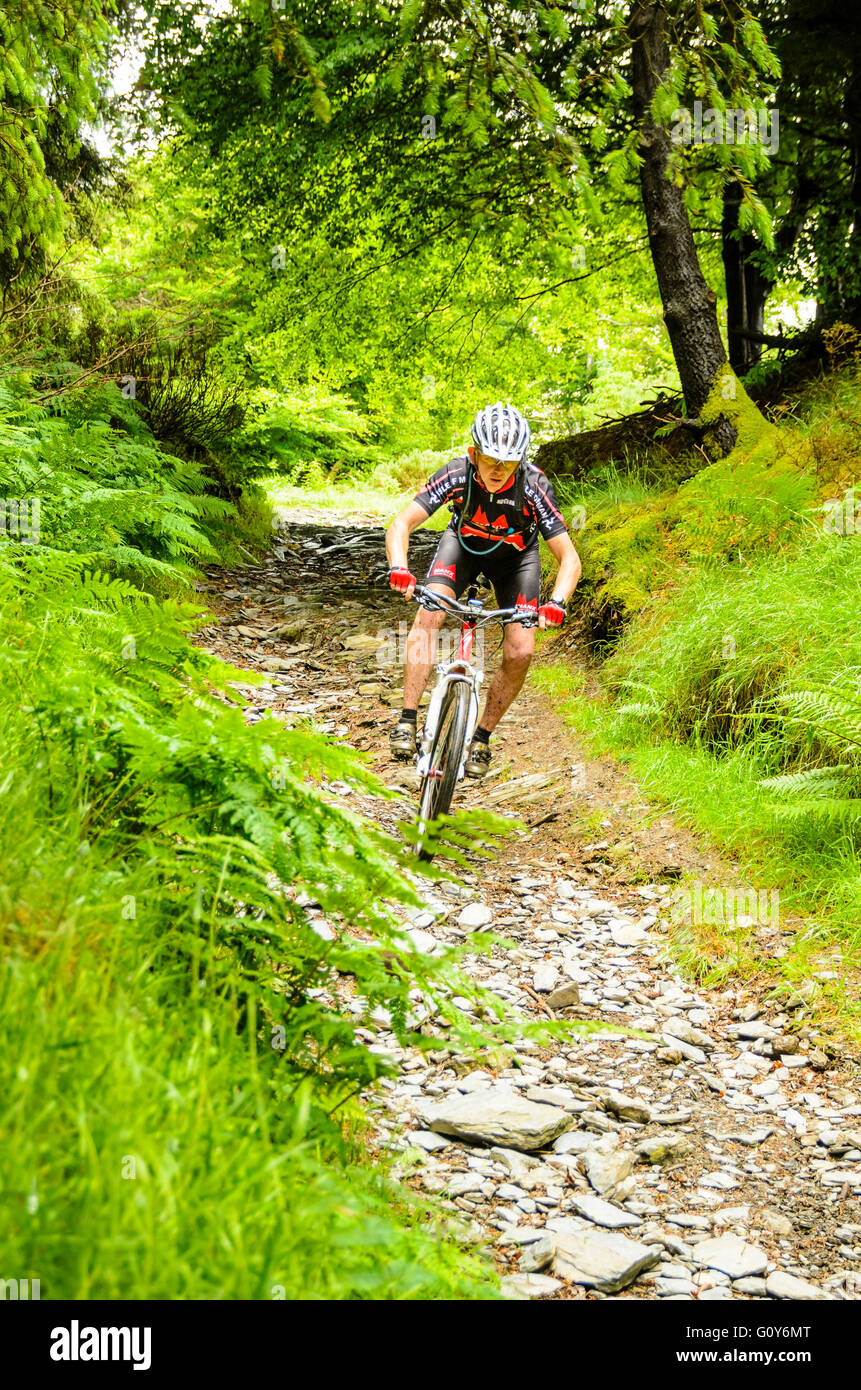Mountain Biker scendendo in discesa in Glen Mooar nell'Isola di Man Foto Stock