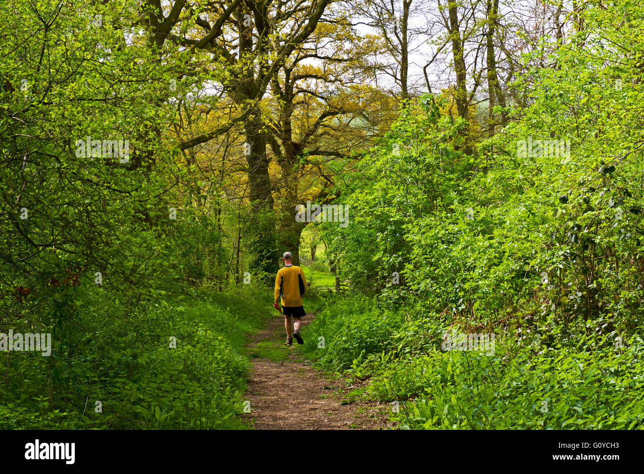Uomo che cammina verso il basso vicolo del paese a Flatford, Dedham Vale, Essex, Inghilterra, Regno Unito Foto Stock