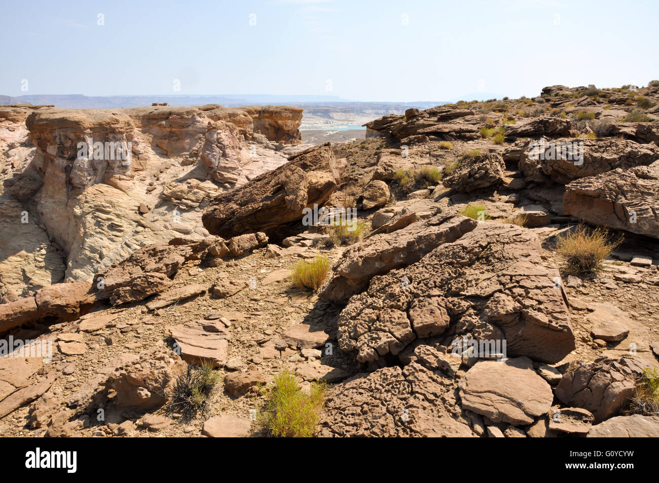 Dettaglio della roccia nel deserto dello Utah. Foto Stock