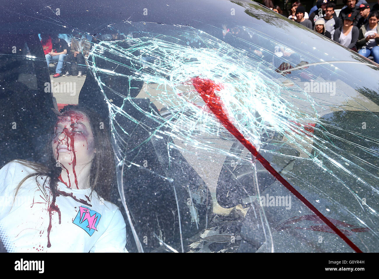 Aprile 26, 2016 - Napa Valley, CA, Stati Uniti - Valley Oak High School ha tenuto un ogni quindici minuti caso martedì mattina con una simulazione di incidente e più vittime. Senior Elva Garcia era uno dei ''vittime'' nella simulazione e fu dichiarato ''dead'' in corrispondenza della scena. (Credito Immagine: © Napa Valley registrarsi attraverso il filo di ZUMA) Foto Stock