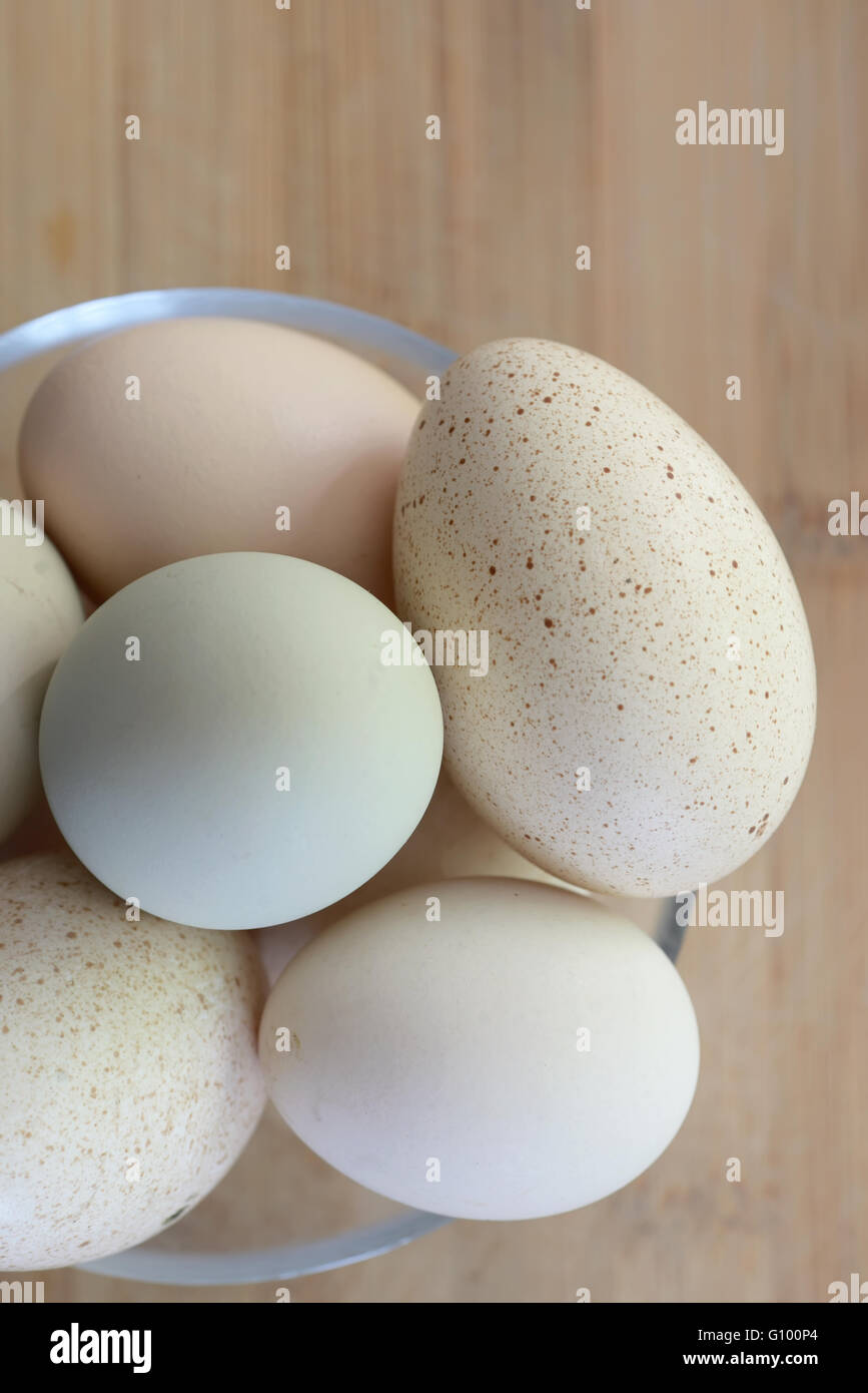 Le uova in diversi colori e dimensioni Foto Stock