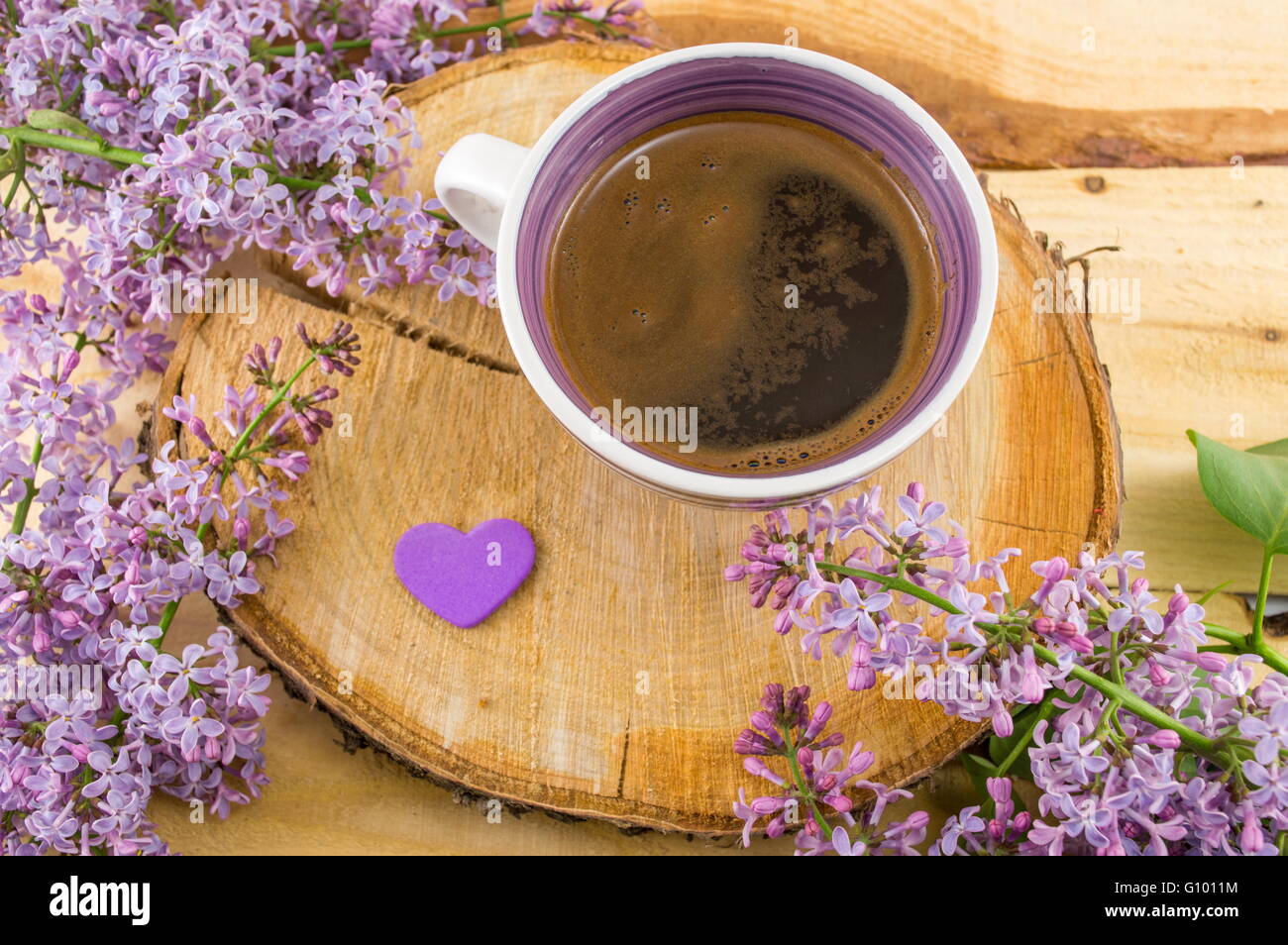 Tazza di caffè e viola fiori di primavera Foto Stock