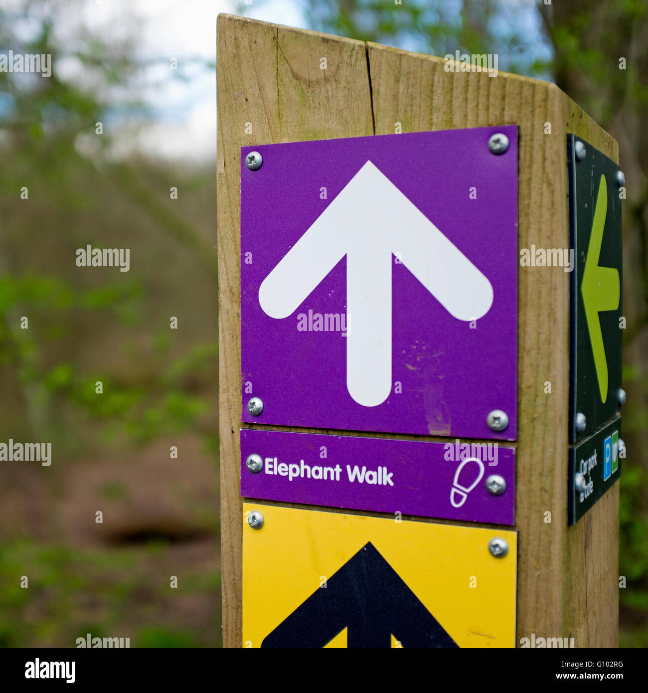 Segno di freccia per Elephant Walk trail Foto Stock