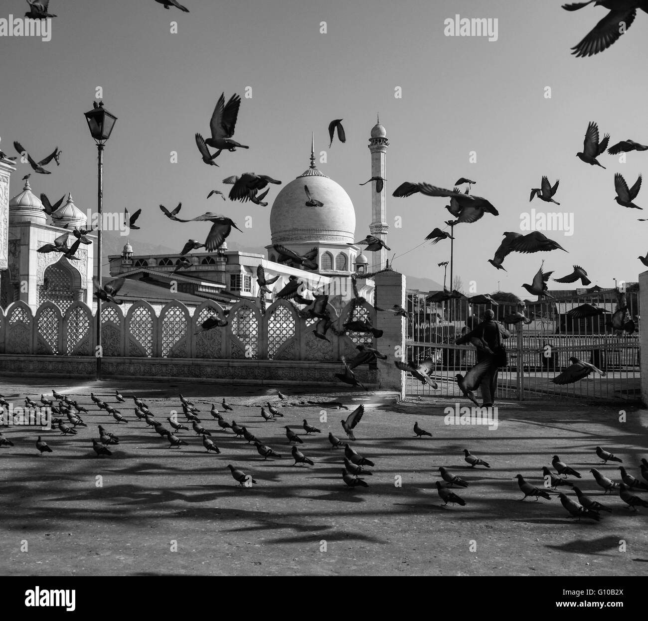 Dargah Hazratbal un santuario nel Kashmir Foto Stock