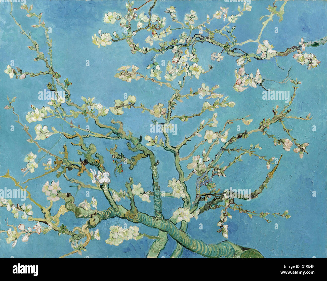 Vincent van gogh almond blossom immagini e fotografie stock ad alta  risoluzione - Alamy