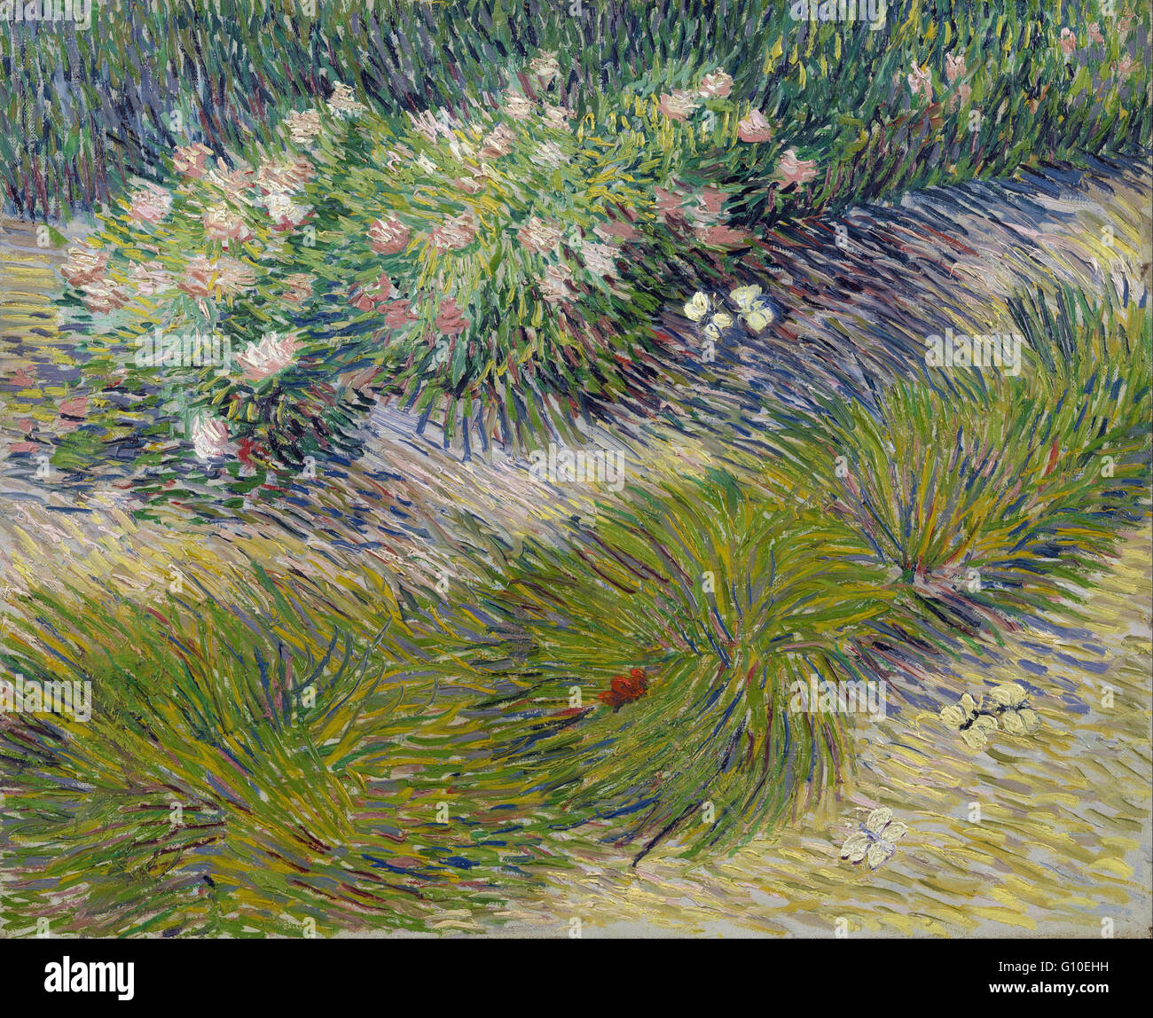 Vincent van Gogh - erba e farfalle - Van Gogh Museum di Amsterdam Foto Stock