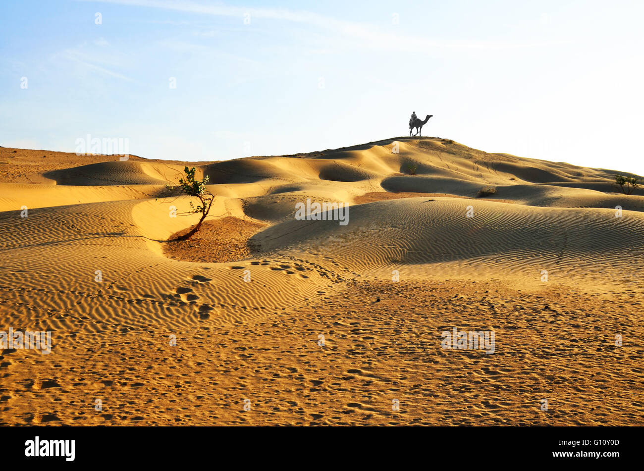 Nomads sui cammelli oltre le dune di sabbia, il deserto di Thar, Rajasthan, India Foto Stock