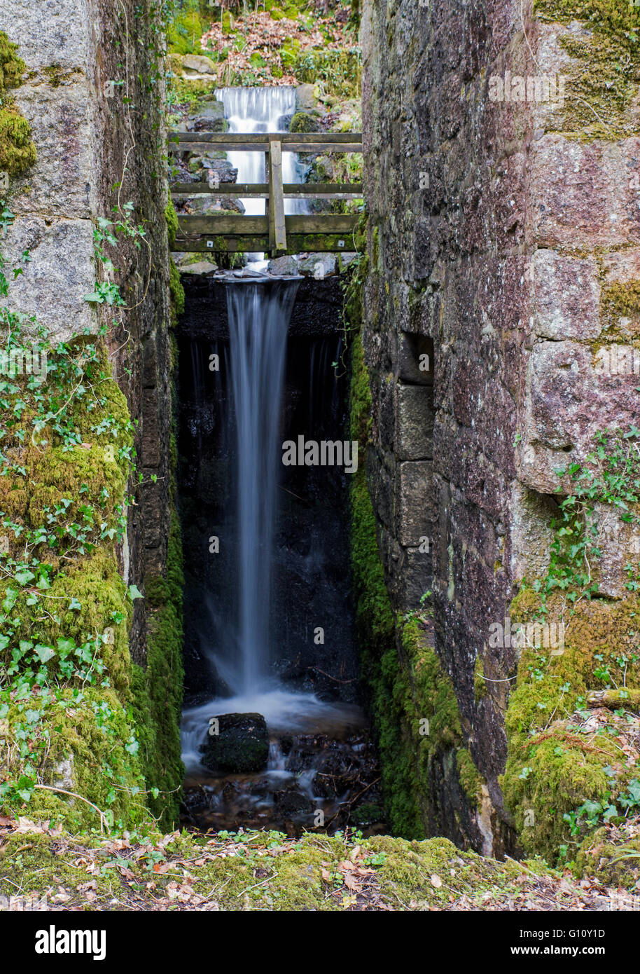 Kennall vale, una riserva naturale gestita dal Cornwall Wildlife Trust, un tempo sito di produzione esplosiva, ora monumento programmato Foto Stock