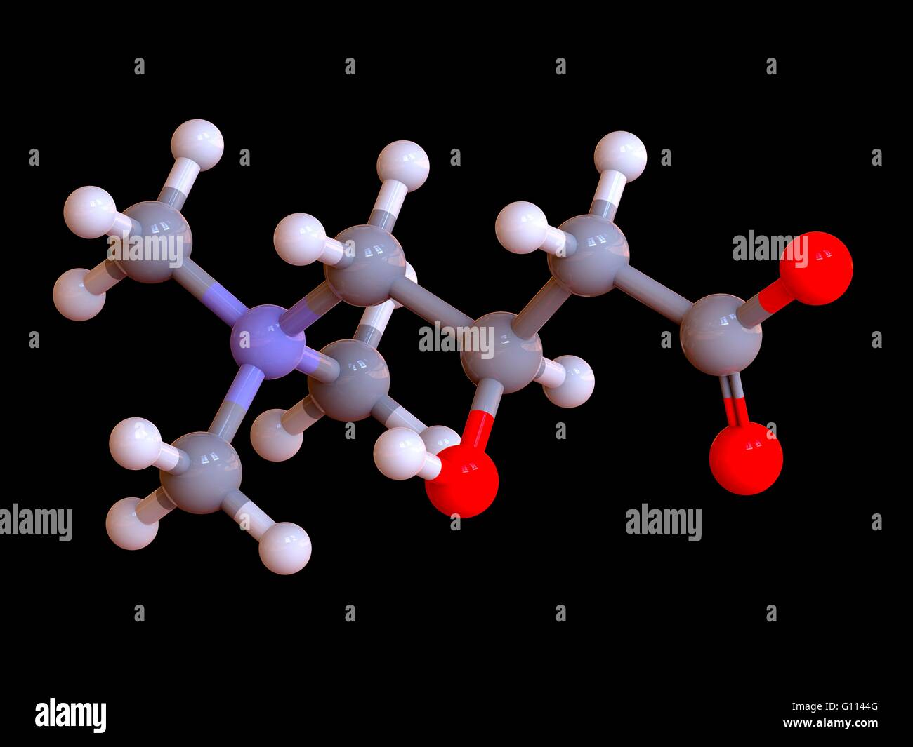 L-carnitina integratore alimentare molecola struttura chimica e a sfera Stick reprentation. Gli atomi sono mostrati come codificati a colori: idrogeno Foto Stock