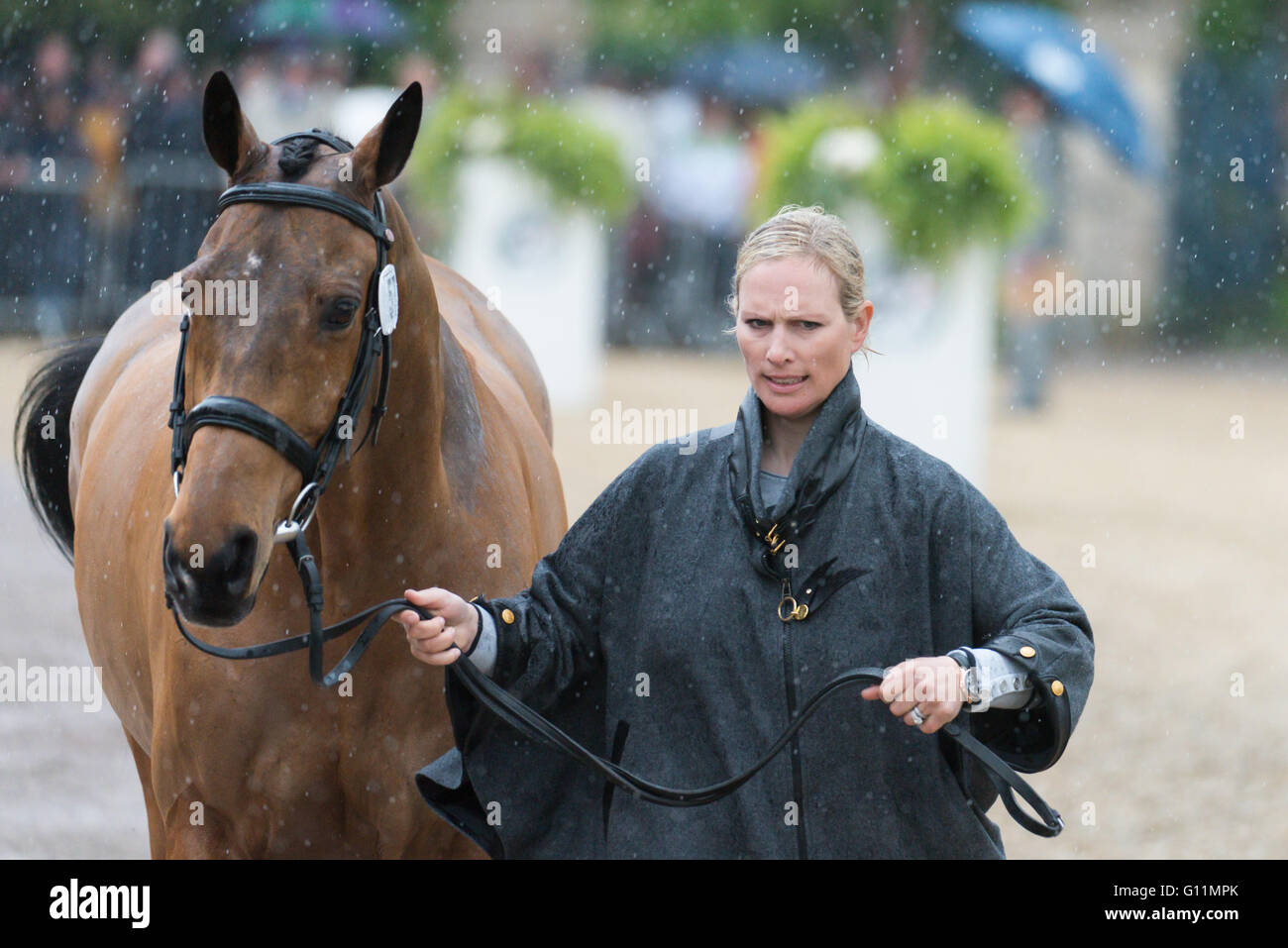 Badminton, South Gloucestershire, Regno Unito, 8 maggio 2016, Zara Tindall e il suo cavallo alta unito prendere parte nel finale di cavallo ispezione presso la Mitsubishi Motors Badminton Horse Trials 2016. Credito: Trevor Holt / Alamy Live News Foto Stock