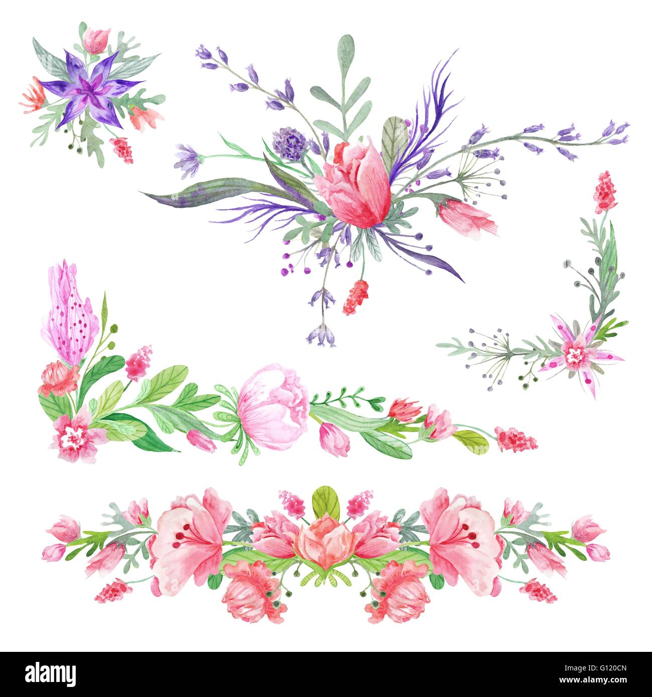 Set di botanica floristica vivaci vignette composizioni isolate su sfondo bianco per matrimoni, eventi design Foto Stock