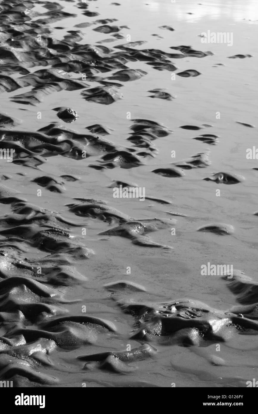 Bella, astratto, in bianco e nero la luce del sole sulla spiaggia Foto Stock