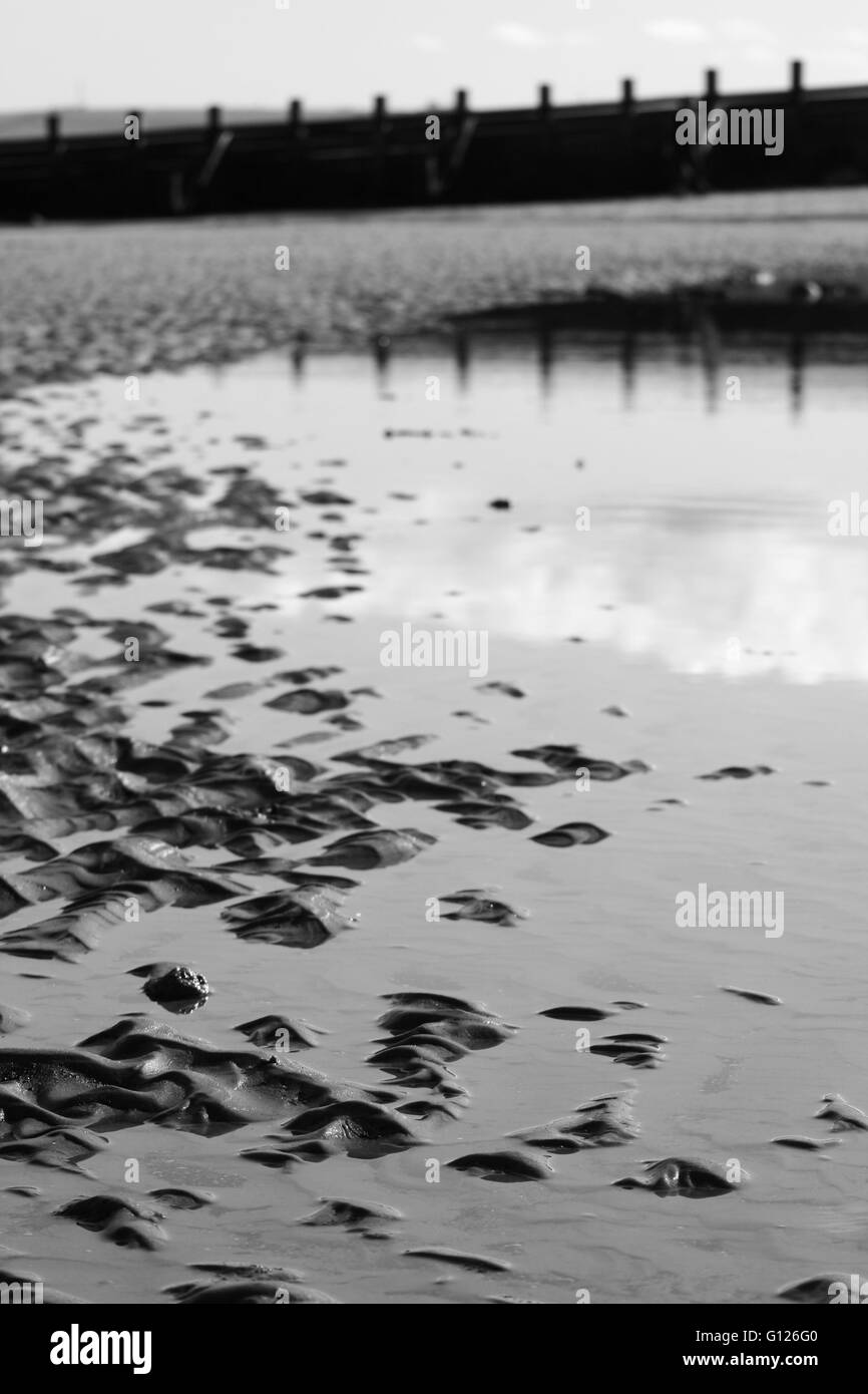 Bella, astratto, in bianco e nero la luce del sole sulla spiaggia Foto Stock