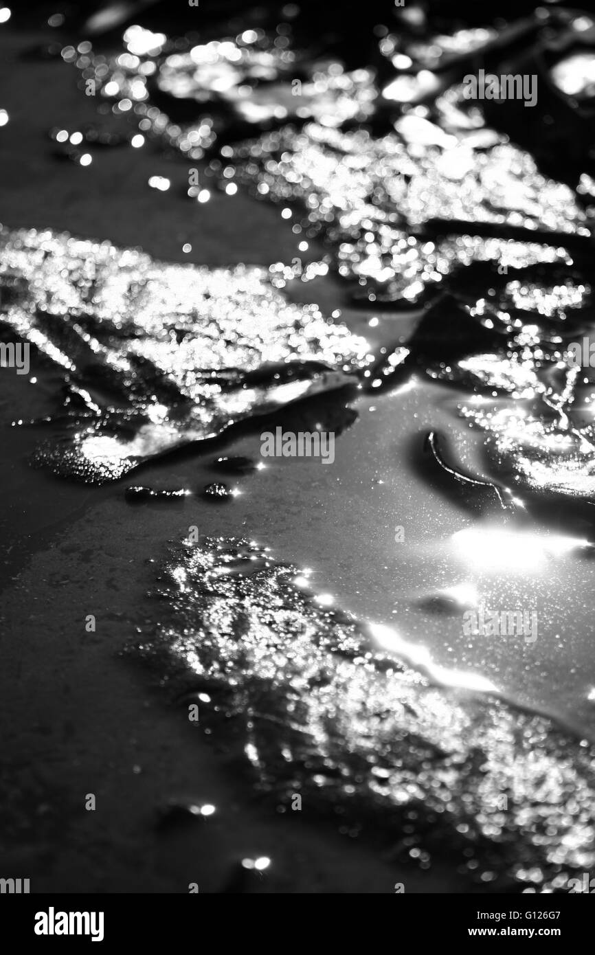 Bella, astratto, in bianco e nero la luce del sole sulla spiaggia Foto Stock