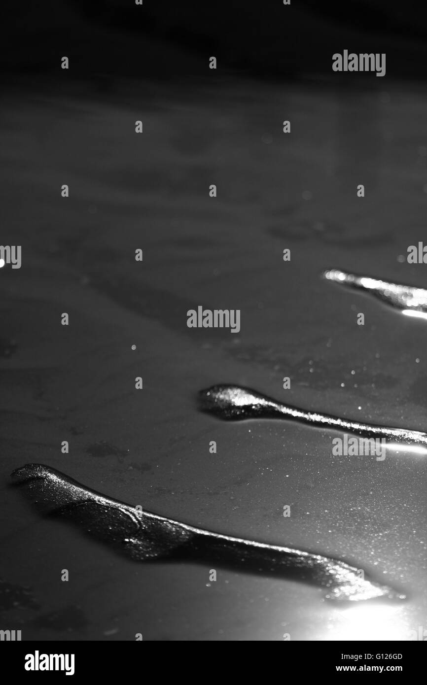 Bella, astratto, in bianco e nero la luce del sole sulla spiaggia Foto Stock