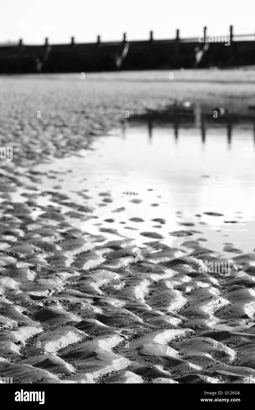 Bella, astratto, in bianco e nero la luce del sole sulla spiaggia Foto Stock