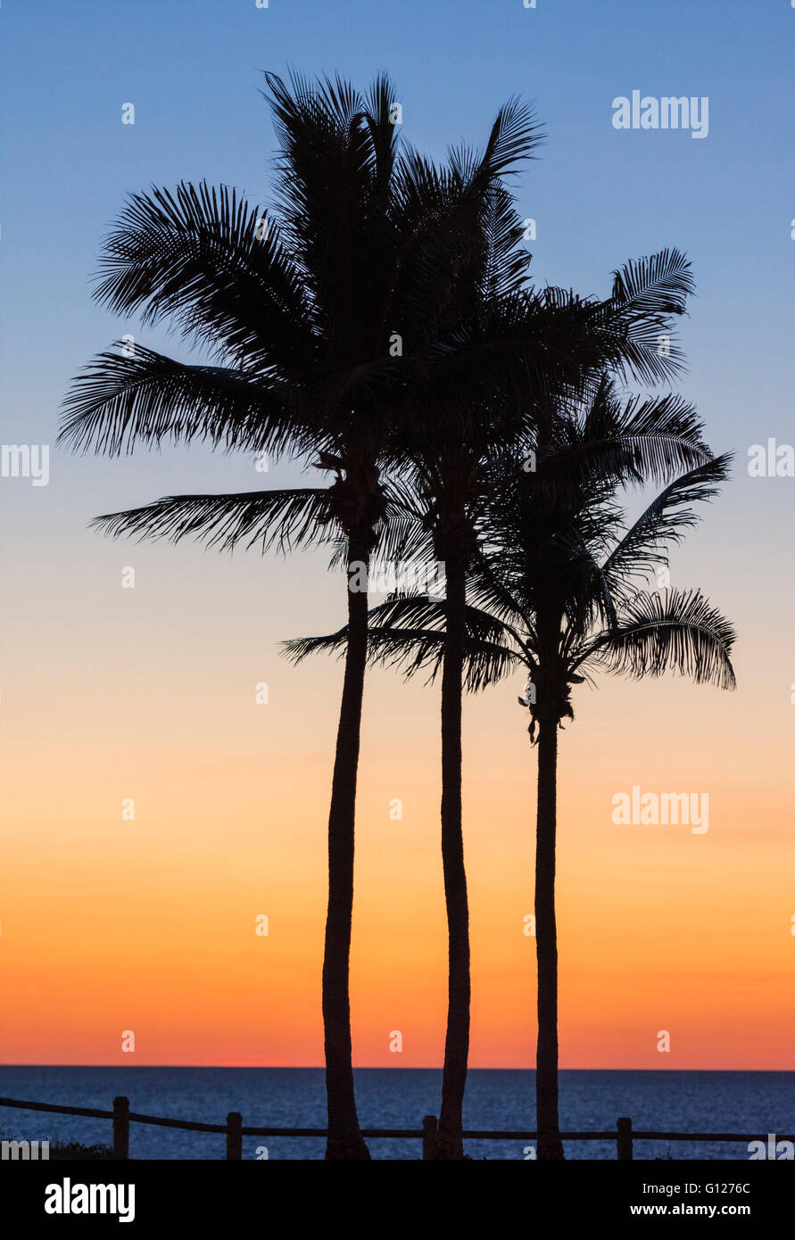 Silhouette di alberi di palma contro un cielo rosso tramonto a Cable Beach, Broome, Kimberley, Australia occidentale Foto Stock