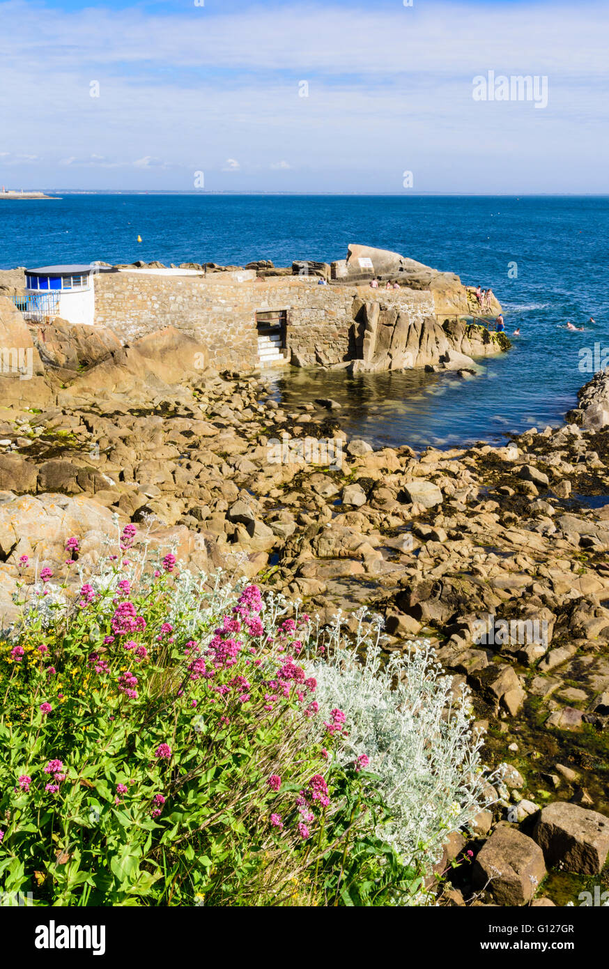 La gente di nuoto a quaranta piedi luogo balneare, Sandycove, Dun Laoghaire-Rathdown, Irlanda Foto Stock