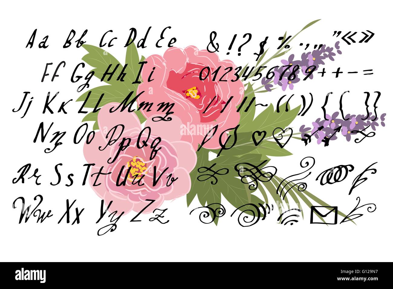 Illustrazione Vettoriale stile brush della calligrafia alfabeto numeri e lettere minuscole Illustrazione Vettoriale