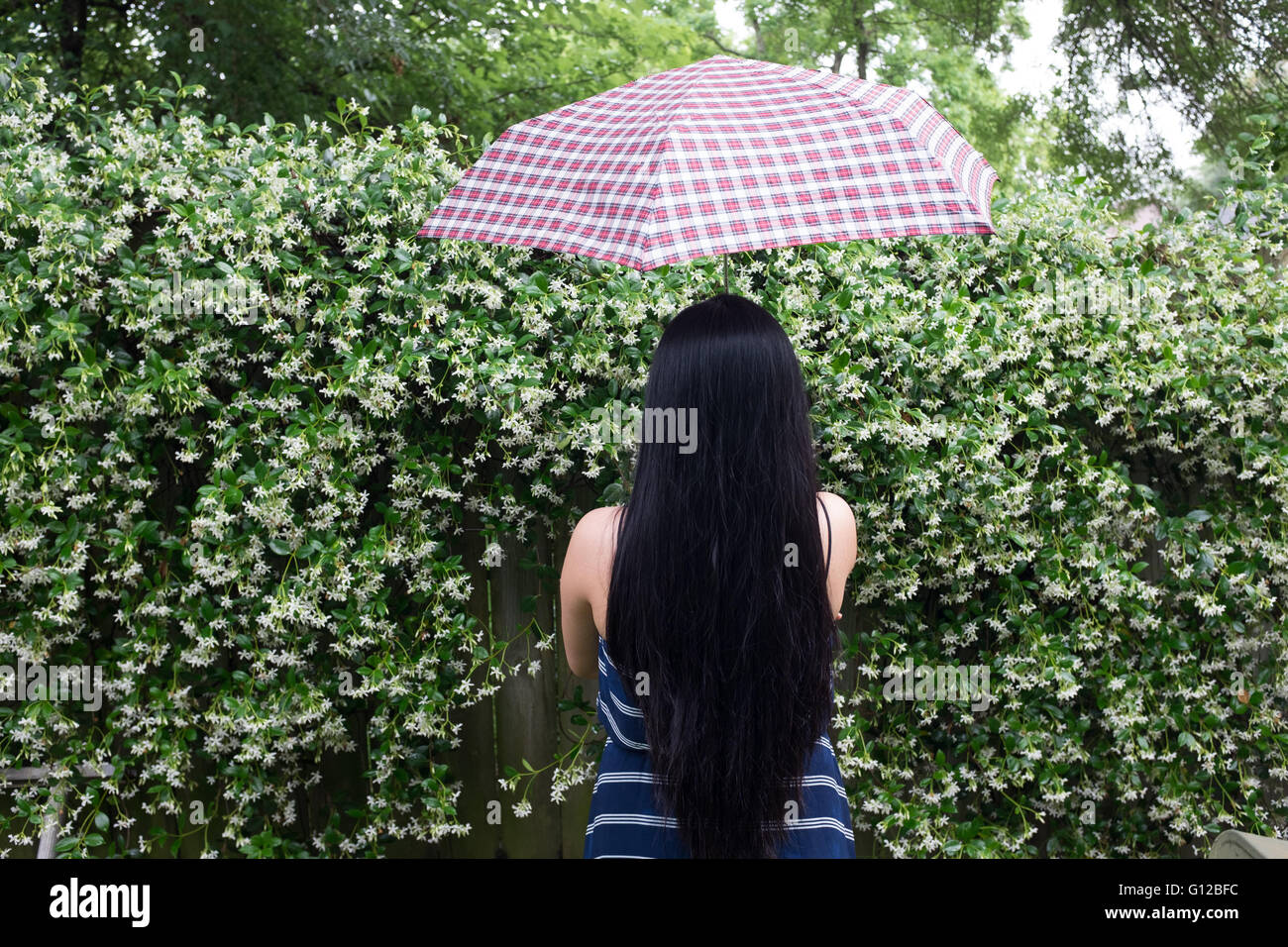Bella ragazza con un ombrello Foto Stock