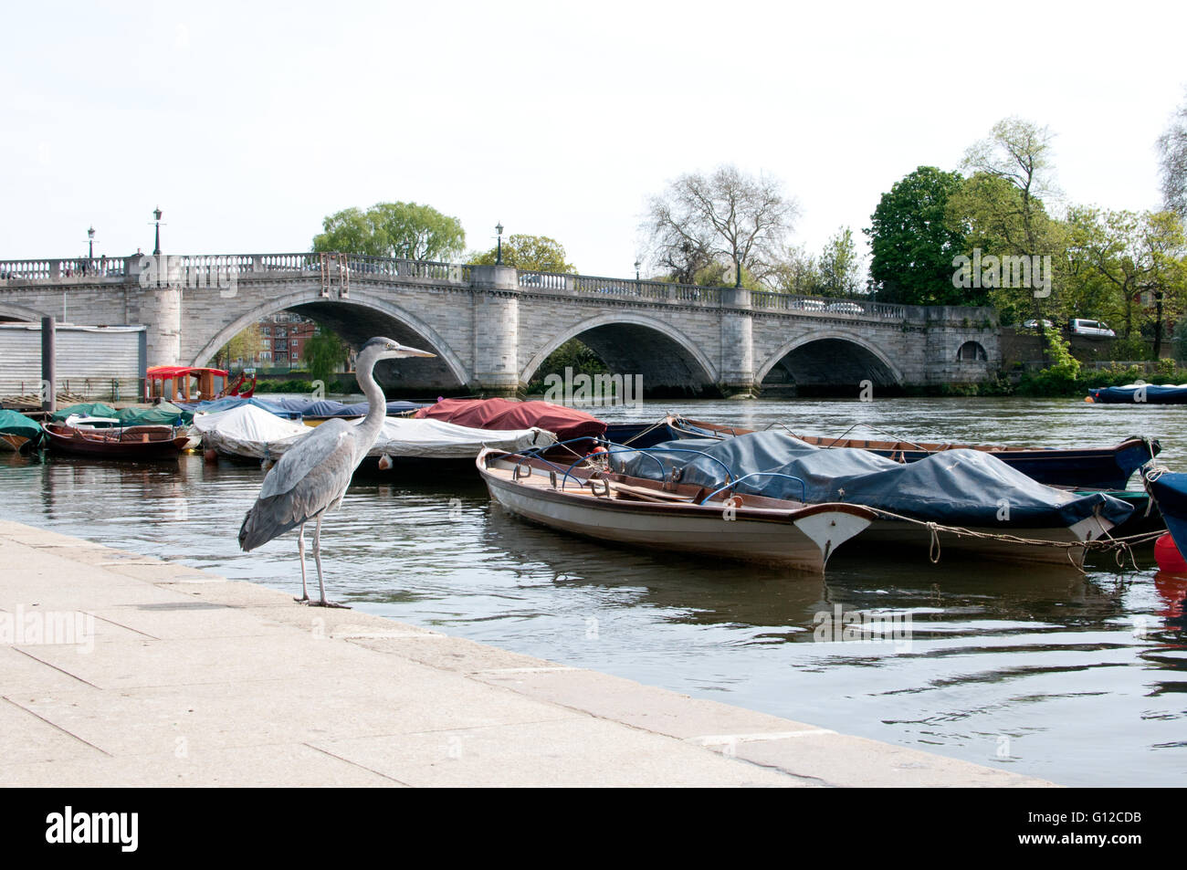 Heron ponte di barche Foto Stock