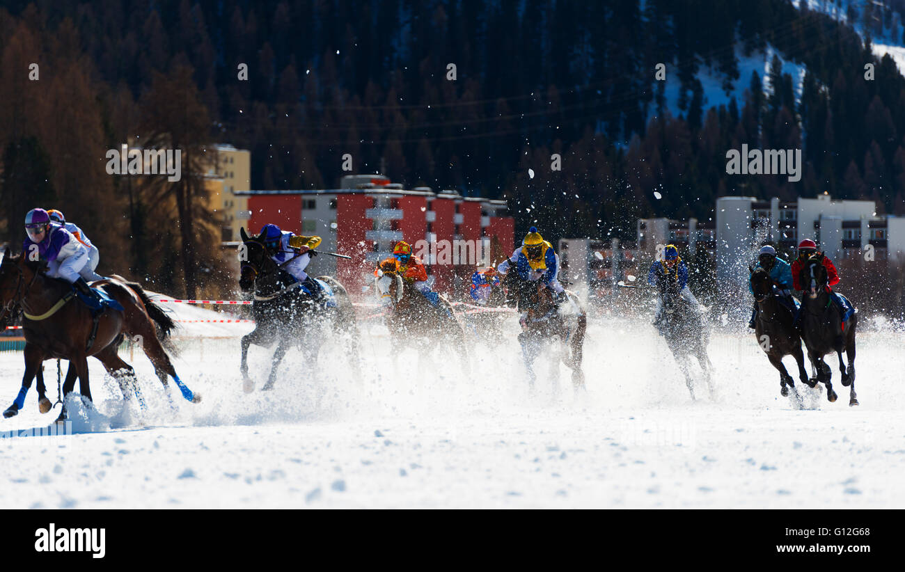 L'Europa, Svizzera, Grigioni, Engadina St Moritz in inverno, White Turf Concorso Ippico Internazionale Foto Stock