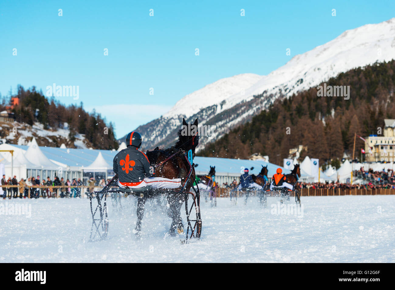 L'Europa, Svizzera, Grigioni, Engadina St Moritz in inverno, White Turf Concorso ippico internazionale, evento di trap Foto Stock