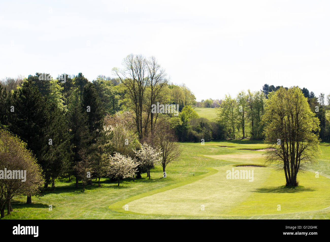 Campo da golf con alberata fairway Foto Stock
