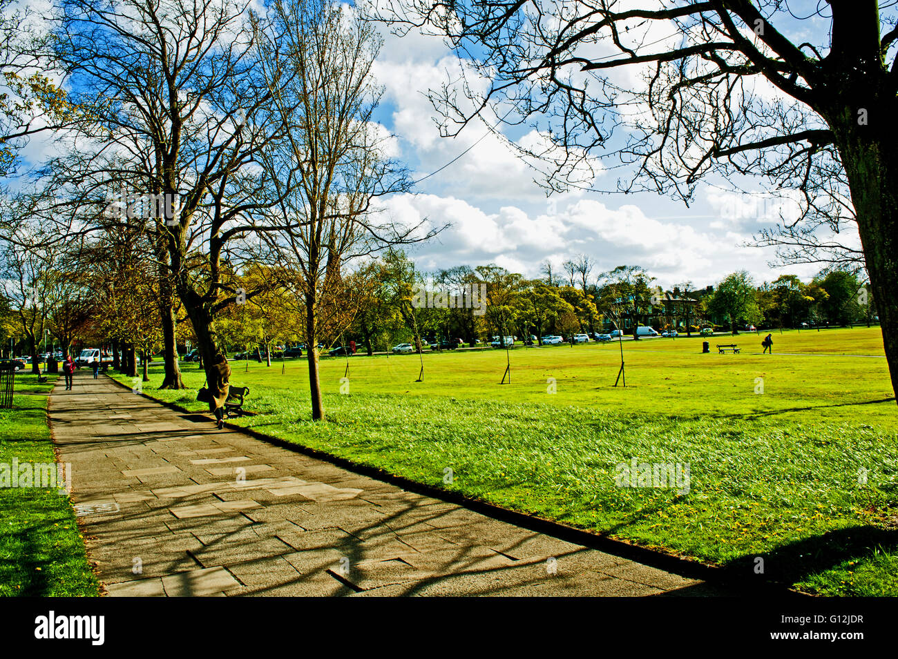 La dispersione a West Park, Harrogate Foto Stock