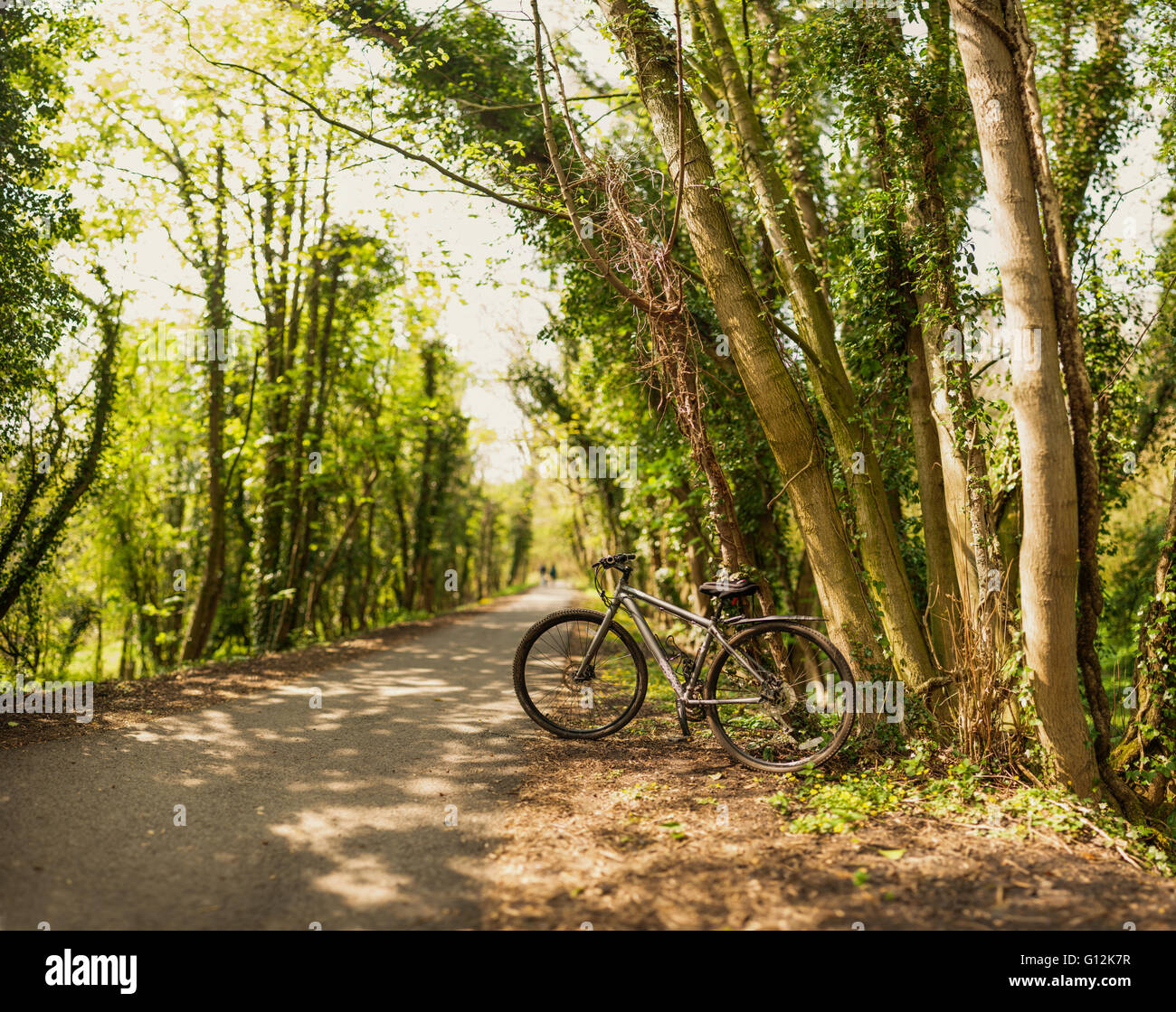 In bicicletta sulla sinistra il sentiero nel bosco Foto Stock