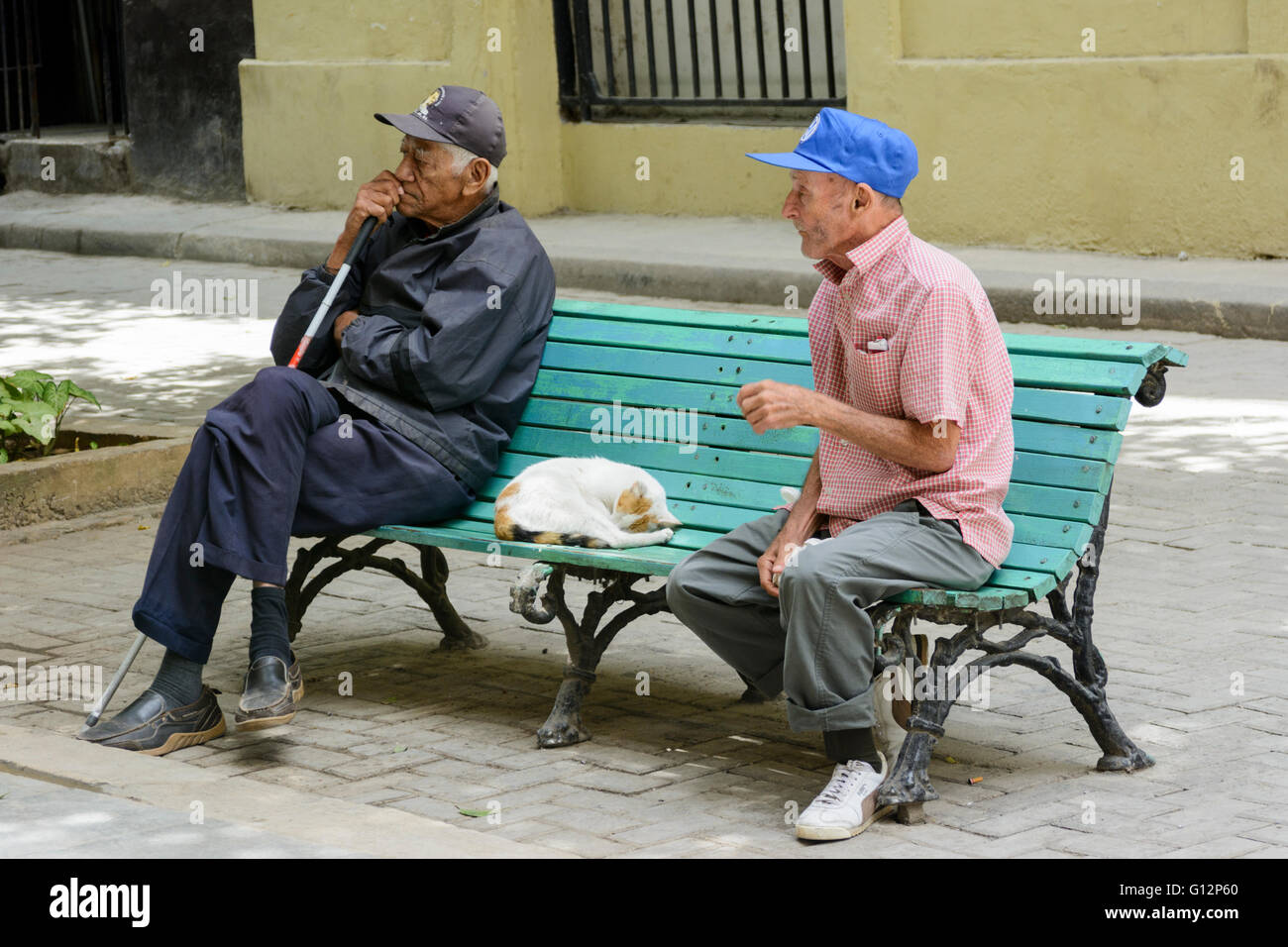 Due uomini anziani e un gatto rilassarsi su un banco di l'Avana Vecchia Havana, Cuba Foto Stock