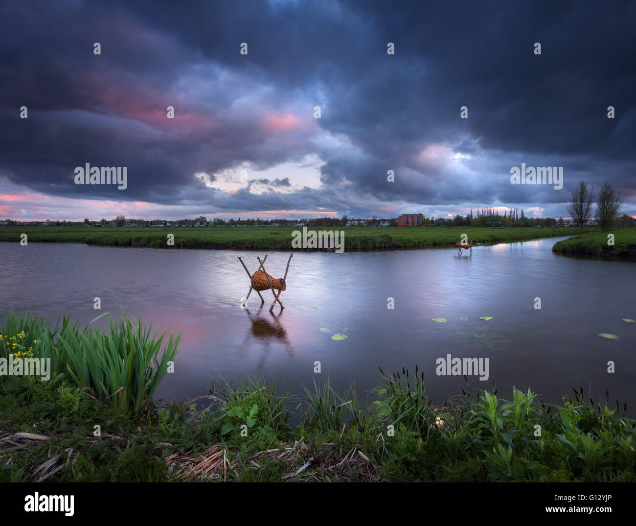 Bellissimo cielo drammatico con le nuvole colorate con canale di acqua al tramonto in Kinderdijk, Paesi Bassi. Coperto. Paesaggio Foto Stock