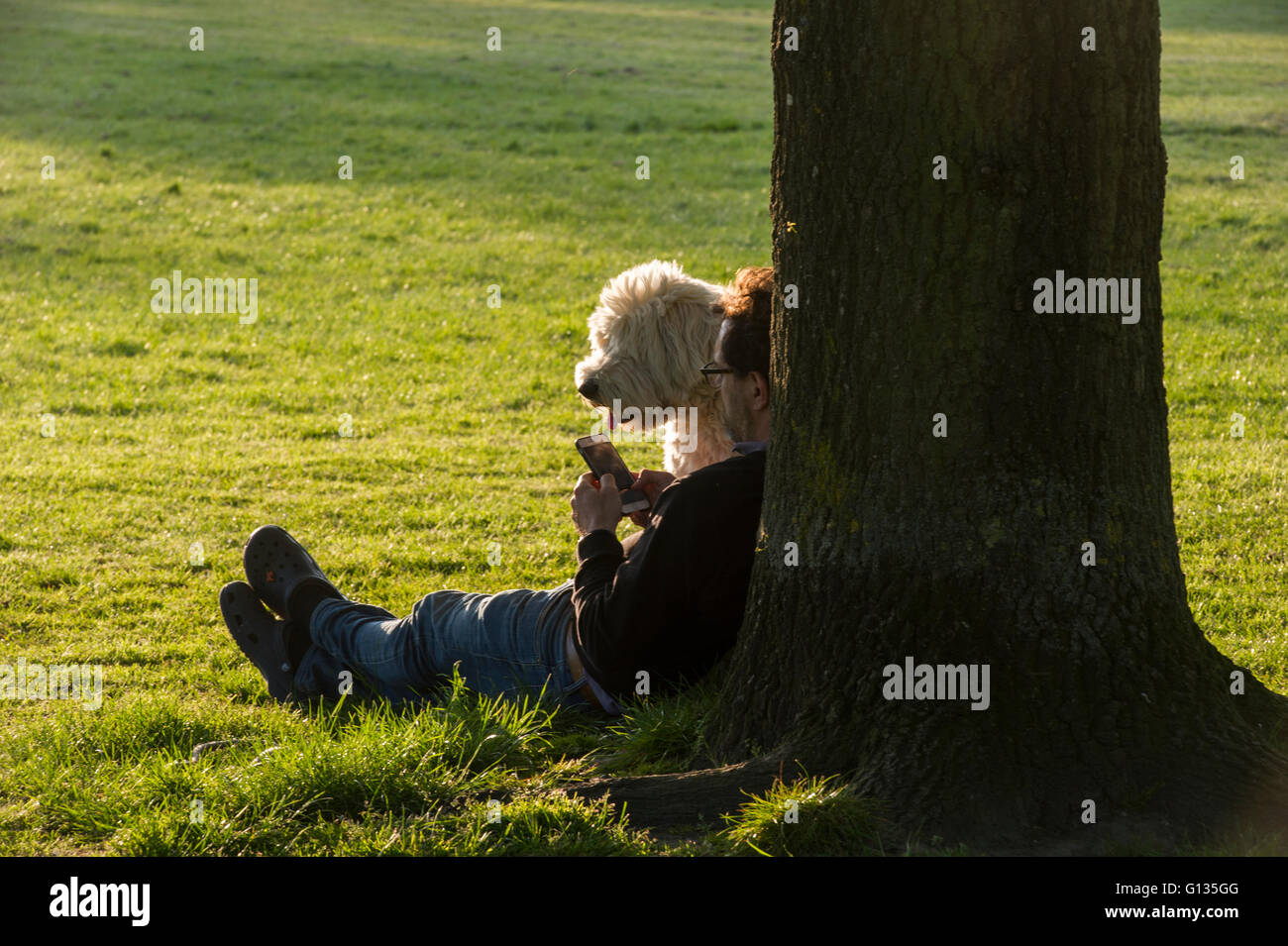Un uomo risiede nel sun con il suo vecchio Sheepdog inglese Foto Stock
