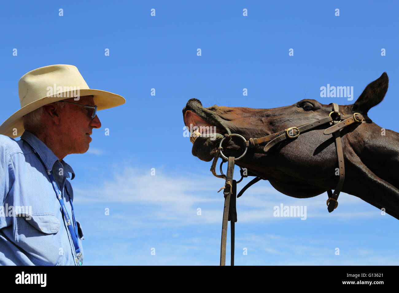 Un agricoltore è divertito come egli guarda il suo cavallo curl le sue labbra e mostra i denti davanti ad un cielo blu nel Queensland, in Australia. Foto Stock
