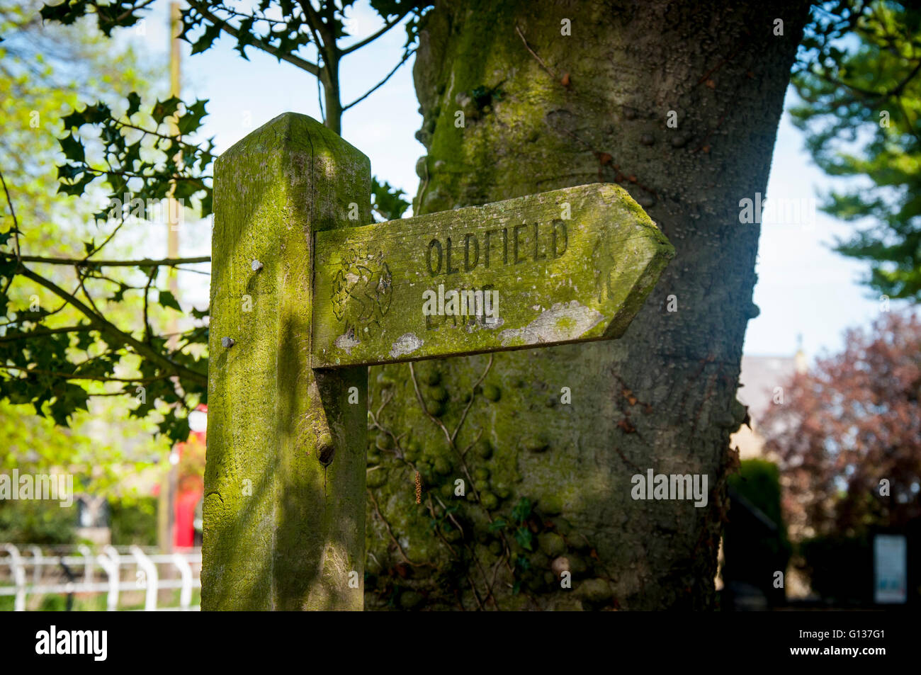 Oldfield lane segno, Foto Stock